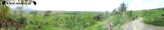 Panorama Jatiluwih